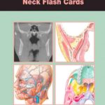 Download Netter’s Advanced Head & Neck Flash Cards PDF Free 2018