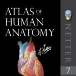Download Netter’s Atlas of Human Anatomy 7th Edition PDF Free