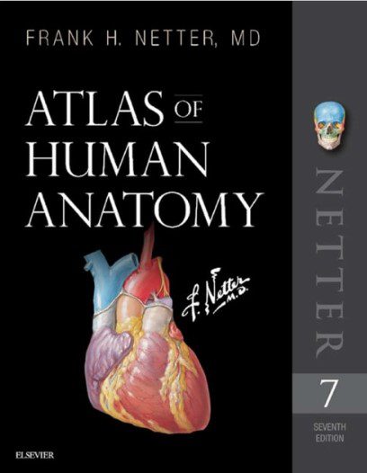 Download Netter’s Atlas of Human Anatomy 7th Edition PDF Free