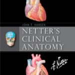 Download Netter’s Clinical Anatomy 4th Edition PDF Free