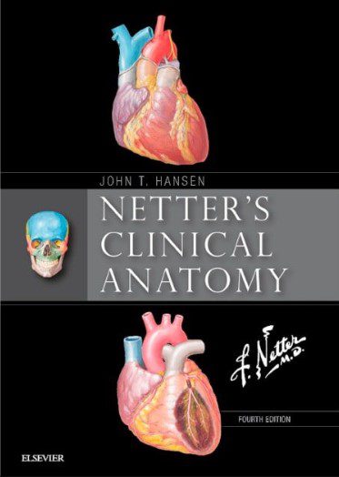 Download Netter’s Clinical Anatomy 4th Edition PDF Free