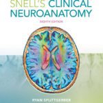 Download Snell’s Clinical Neuroanatomy PDF 8th Edition Free