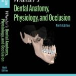 Download Wheeler’s Dental Anatomy, Physiology and Occlusion PDF Free