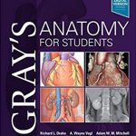 Gray’s Anatomy for Students 4th Edition PDF Download Free