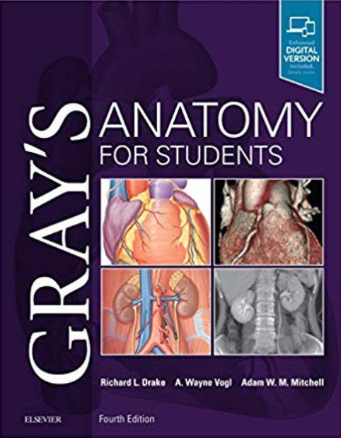 Download Gray S Anatomy For Students 4th Edition Pdf Download Free Medical Study Zone