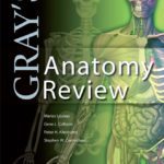Gray’s Anatomy Review PDF Download Free