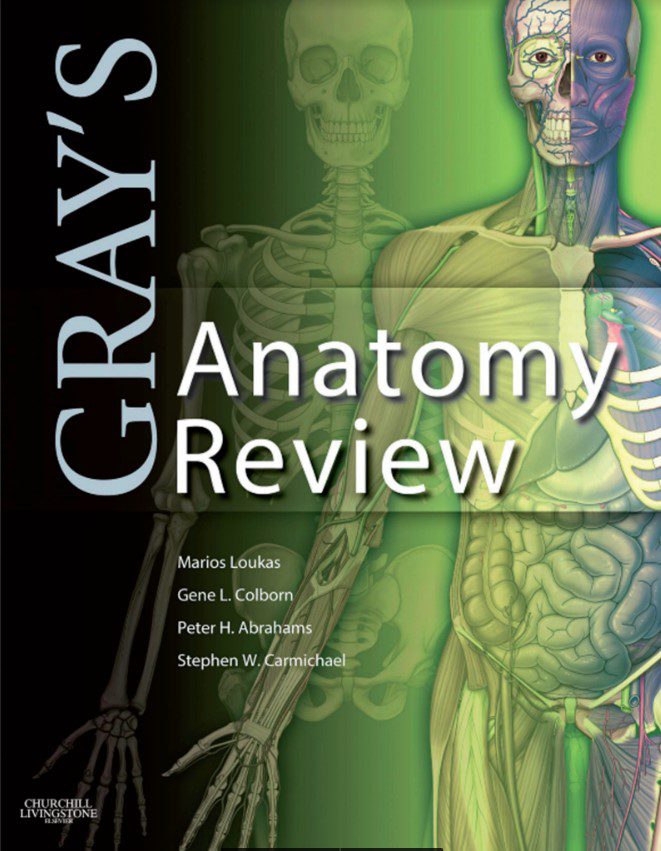 Gray’s Anatomy Review PDF Download Free