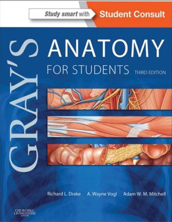 Gray's Anatomy for Students 3rd Edition PDF Download Free