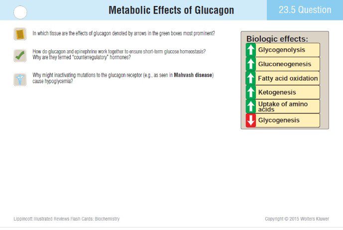 Download Lippincott Biochemistry Flash Cards PDF Free