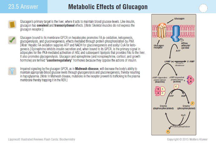 basic medical biochemistry pdf free download