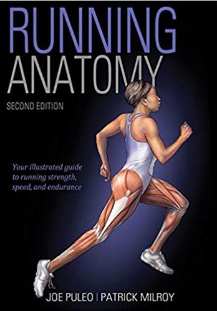 Download Running Anatomy 2nd Edition PDF Free