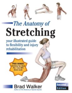 Download The Anatomy of Stretching Second Edition PDF Free