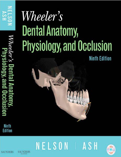 Download Wheeler’s Dental Anatomy, Physiology and Occlusion PDF Free