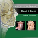 Download Lippincott Concise Illustrated Anatomy Head & Neck 3rd Edition PDF FREE