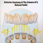 Anterior Anatomy and the Science of a Natural Smile PDF Free Download