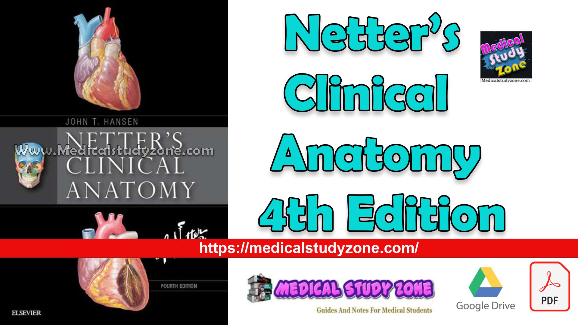 Download Netter’s Clinical Anatomy 4th Edition PDF Free