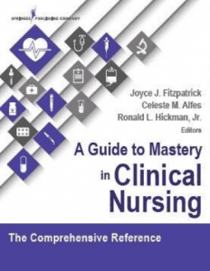 A Guide to Mastery in Clinical Nursing The Comprehensive Reference PDF ...