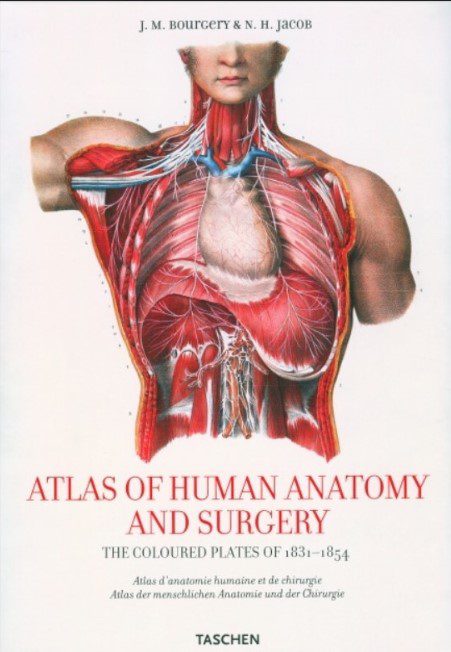 Download Atlas of Human Anatomy and Surgery 25th Edition PDF Free
