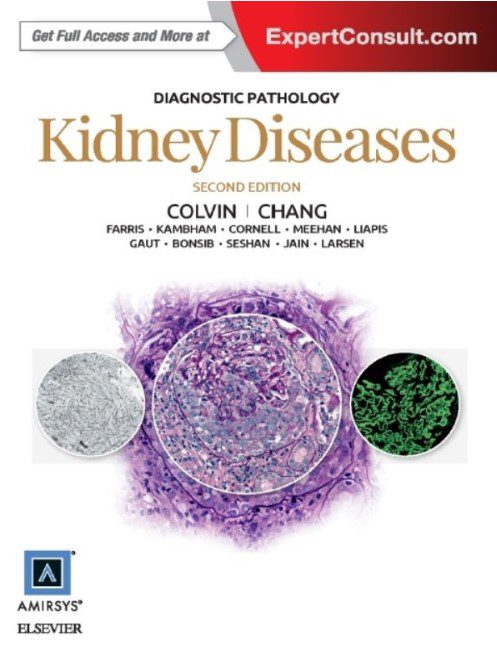 Download Diagnostic Pathology: Kidney Diseases 2nd Edition PDF Free