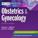 Download Blueprints Obstetrics & Gynecology 7th Edition PDF Free