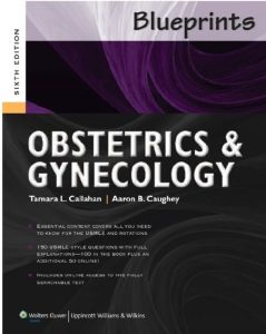 Download Blueprints Obstetrics and Gynecology 6th Edition PDF Free