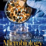 Download A Photographic Atlas for the Microbiology Laboratory 4th Edition PDF Free