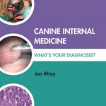 Download Canine Internal Medicine PDF Free