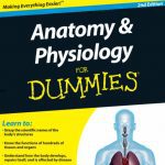 Anatomy and Physiology For Dummies 2nd Edition PDF Free Download