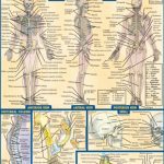 Bar Charts Quick Study Anatomy Volume 1 PDF Free Download