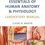 Essentials Of Human Anatomy & Physiology Laboratory Manual 4th Edition PDF Free Download