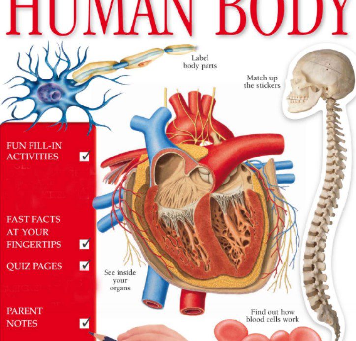EyeWitness Workbooks Human Body PDF by Claire Watts Free Download