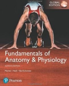 Fundamentals of Anatomy & Physiology GloEdi 11th Edition PDF Free Download