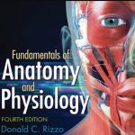 Fundamentals of Anatomy and Physiology 4th Edition PDF Free Download
