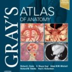 Gray's Atlas of Anatomy 3rd Edition 2021 PDF Free Download