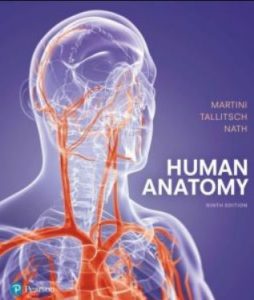 Human Anatomy 9th Edition PDF Free Download