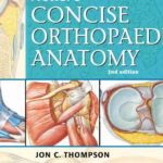 Netter’s Concise Orthopaedic Anatomy 2nd Edition PDF Free Download