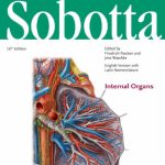 Sobotta Atlas of Anatomy Internal Organs 16th Edition PDF Free Download
