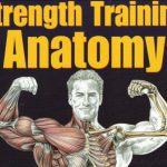Strength Training Anatomy 2nd Edition PDF Free Download