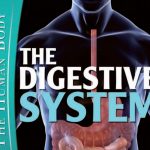The Human Body: The Digestive System PDF Free Download