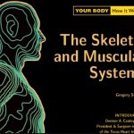 Your Body. How It Works. The Skeletal and Muscular Systems PDF Free Download