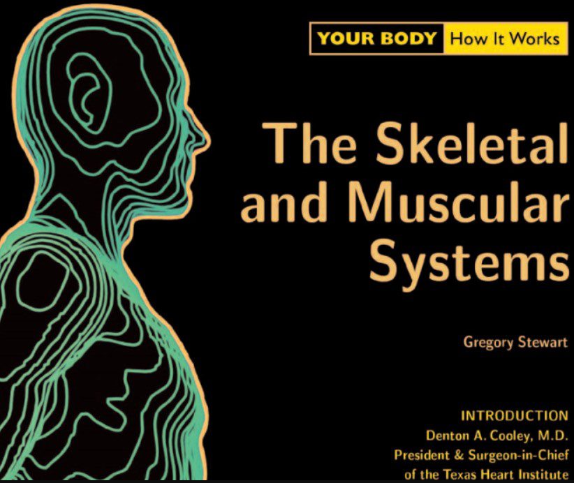 Your Body. How It Works. The Skeletal and Muscular Systems PDF Free Download