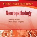 High-Yield Pathology – Neuropathology PDF Free Download