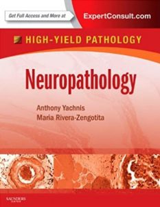 High-Yield Pathology – Neuropathology PDF Free Download