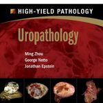 High-Yield Pathology – Uropathology PDF Free Download