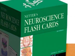 Netter’s Neuroscience Flash Cards 2nd Edition PDF Free Download