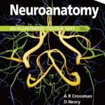 Neuroanatomy An Illustrated Colour Text 6th Edition PDF