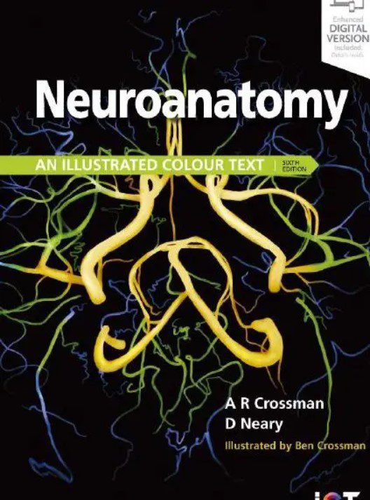 neuroanatomy an illustrated colour text free pdf download