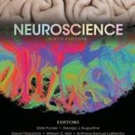 Neuroscience 6th Edition PDF Free Download