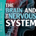 The Brain and the Nervous System (The Human Body) PDF Free Download
