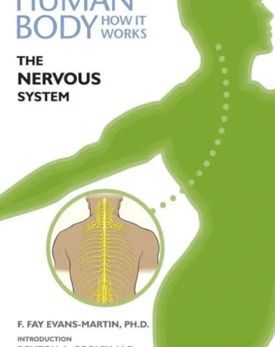 The Human Body, How It Works - The Nervous System PDF Free Download